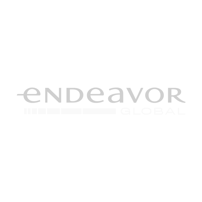 endeavor